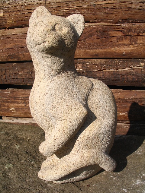 Katze,Humpel (5).JPG
